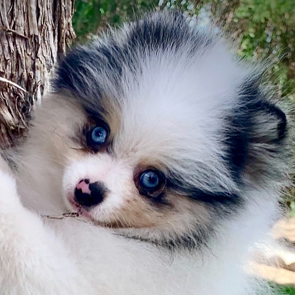 Meet your Posher, Michelle - Picture 3 of 13